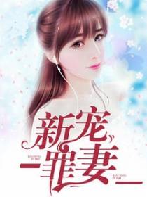 新宠罪妻