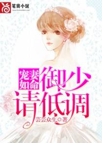 承欢小娇妻