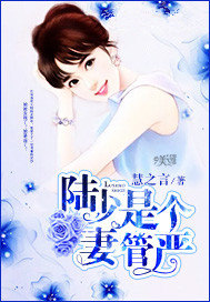 陆少是个妻管严