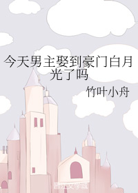 明月入我怀