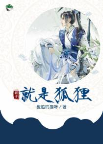 老子就是狐狸