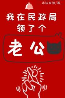 我在民政局领了个老公