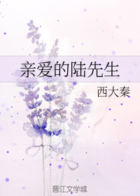 亲爱的陆先生【完结+番外】