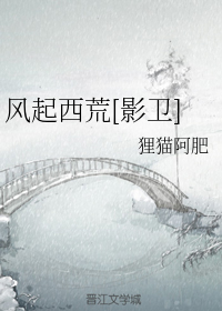 风起西荒[影卫]