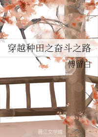 穿越种田之奋斗之路