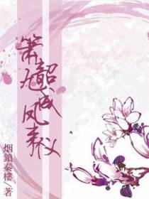 箫韶九成凤来仪