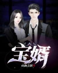 宝婿