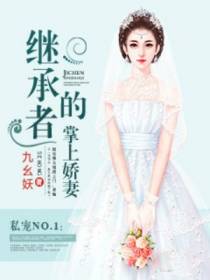 私宠NO.1：继承者的掌上娇妻