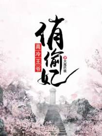 高冷王爷俏偷妃