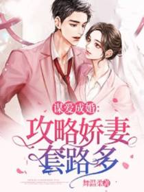 谋爱成婚：攻略娇妻套路多