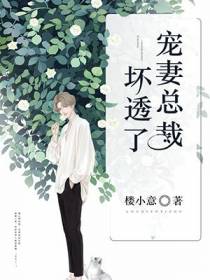 宠妻总裁坏透了沐暖暖
