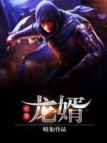至尊龙婿韩锋