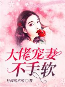 大佬宠妻不手软