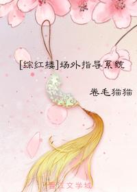 [综红楼]场外指导系统