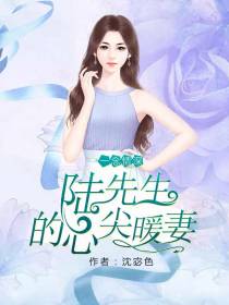 陆先生的心尖暖妻江暖陆行瞻