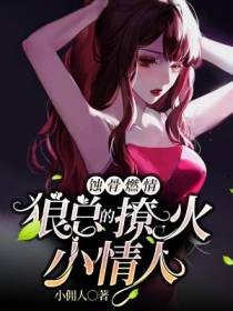 秦安安陆霖辰