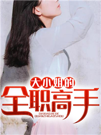 大小姐的全职高手杨辰慕晚晴