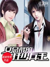 女总裁的狂少兵王叶天