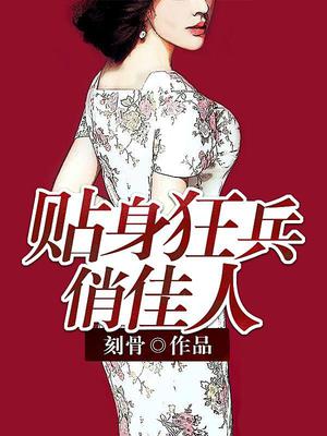 贴身狂兵俏佳人叶辰