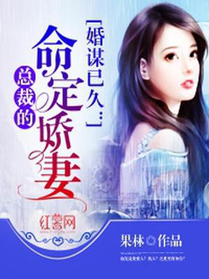 总裁的命定娇妻