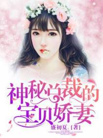 神秘总裁的宝贝娇妻