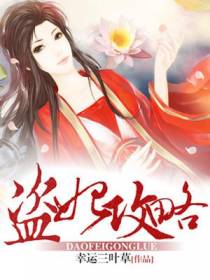 盗妃攻略