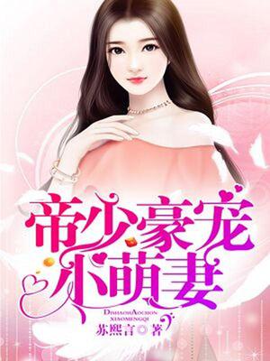 帝少豪宠小萌妻