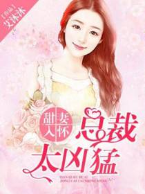 苏小甜夜辰夕