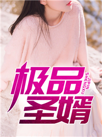 极品圣婿苏泽