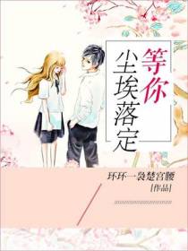 等你尘埃落定