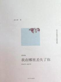 范小青短篇小说精选集.2006年～2009年，我在哪里丢失了你