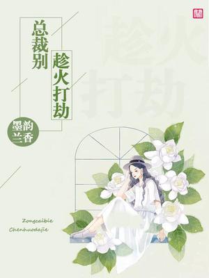 总裁别趁火打劫