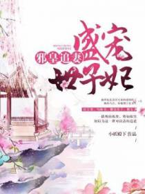 邪皇追妻：盛宠世子妃