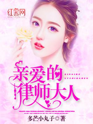 亲爱的律师大人