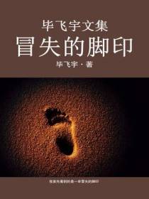 毕飞宇文集：冒失的脚印