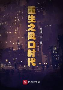 重生之风口时代