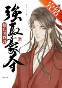 成了亡国昏君的堕神男妃