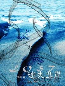 迷失北岸