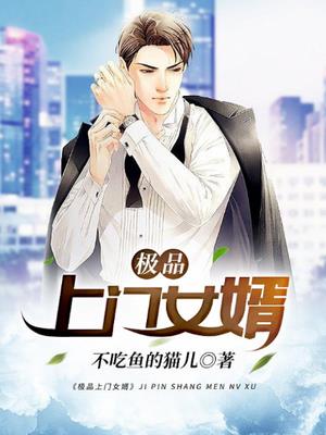 极品女婿林冰婉