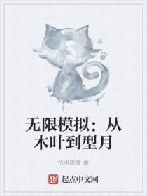 无限模拟：从木叶到型月