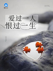 陆霆琛林向晚