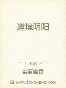 道境阴阳