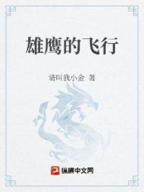 雄鹰的飞行