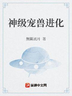 神级宠兽进化