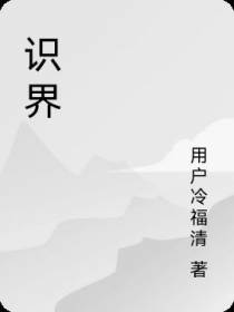 识界