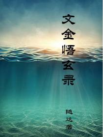 文金悟玄录