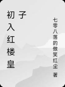 初入红楼皇子