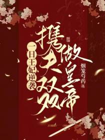 一日王妃逆袭携夫双双做皇帝