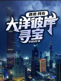 透视：我在大洋彼岸寻宝