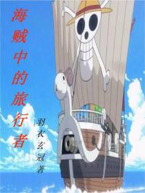 海贼中的旅行者